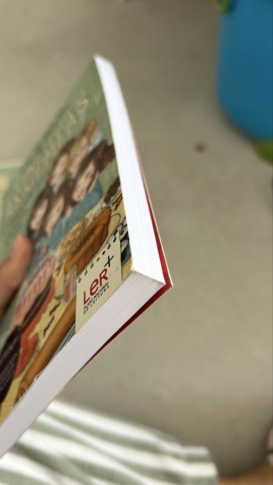 Saga de livros sobre meninas na escola