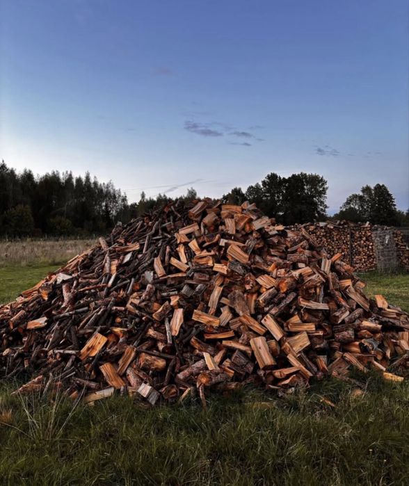Drzewo pociete porąbane