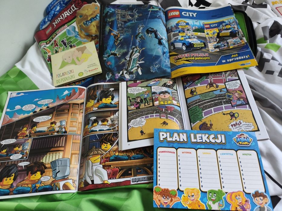 LEGO Minecraft  zestaw