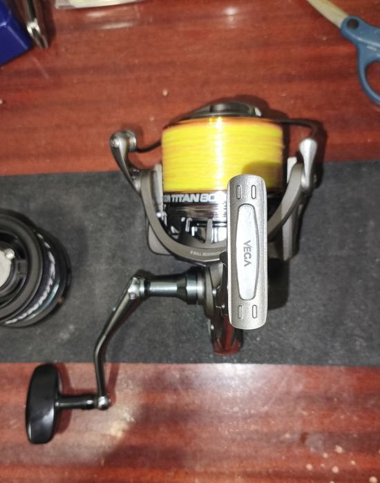 Carreto de surfcasting