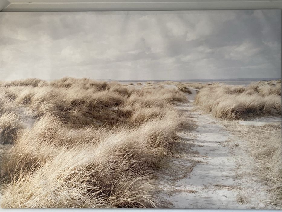 obraz plaży 140x200