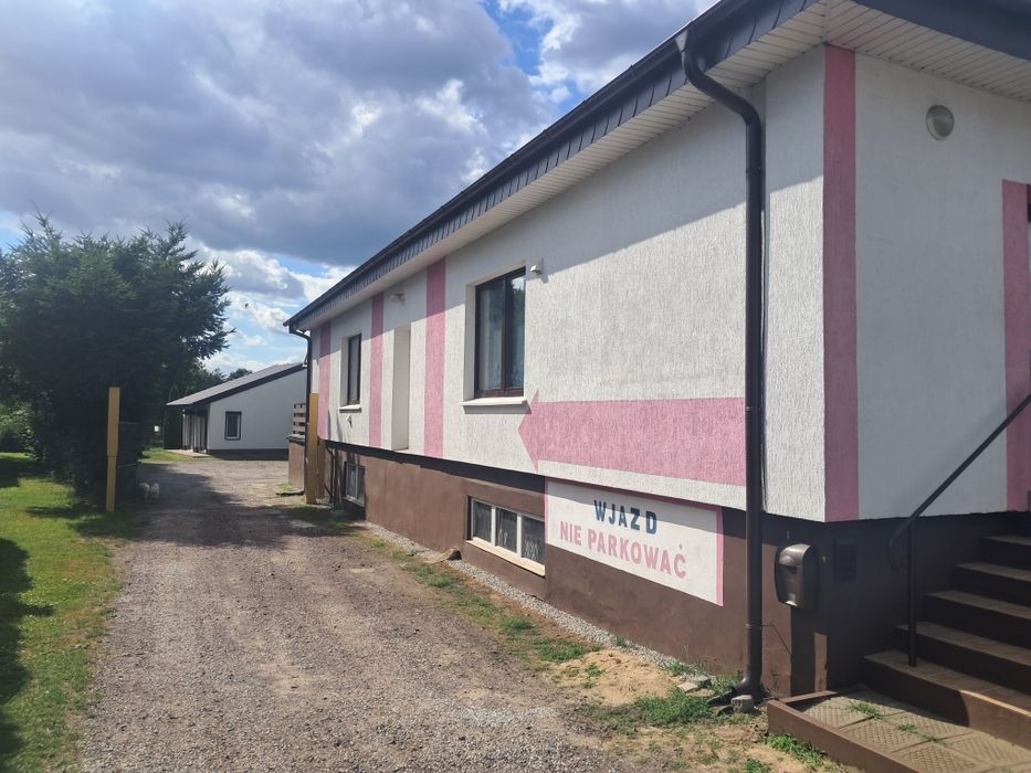 Lokal 100m2  - Biura , Uslugi , Handel