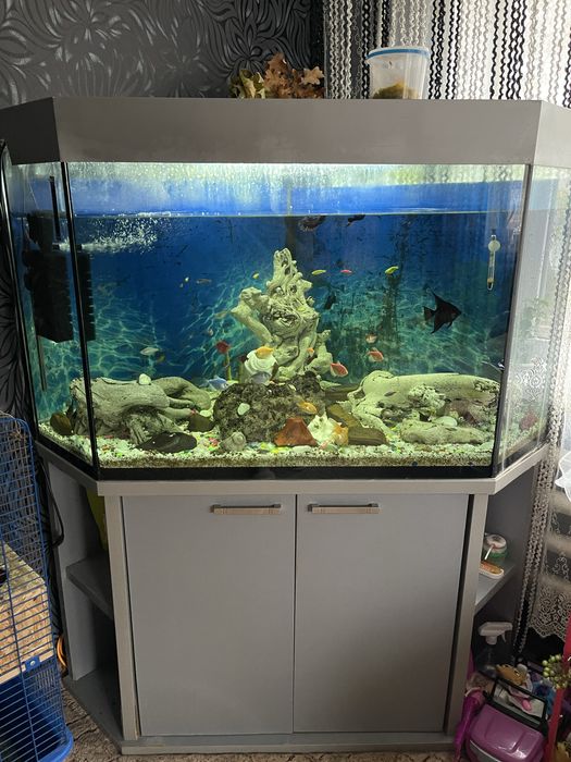 Продам аквариум на 500 литров угловой с тумбой