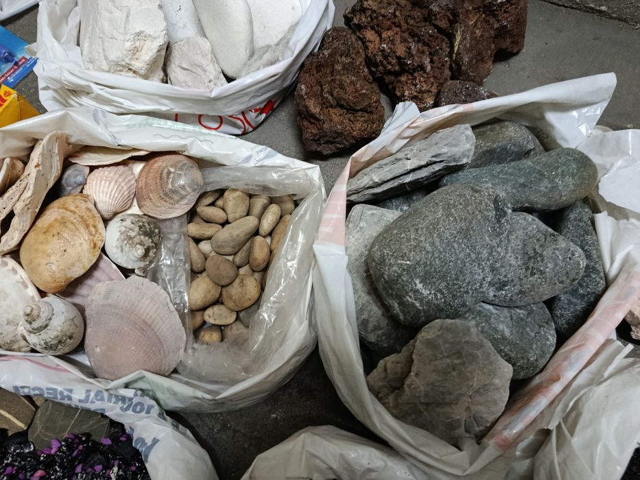 Aquário 120L + Ornamentos