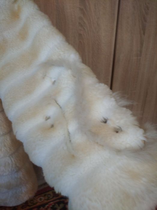 Шубка с капюшоном.