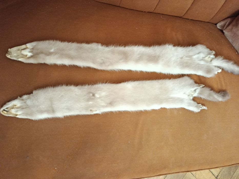 Skórki norek beżowe