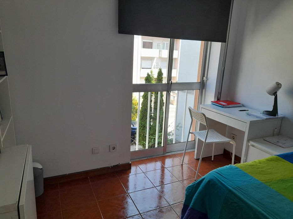 Quarto em Santa Clara e Castelo Viegas, Coimbra