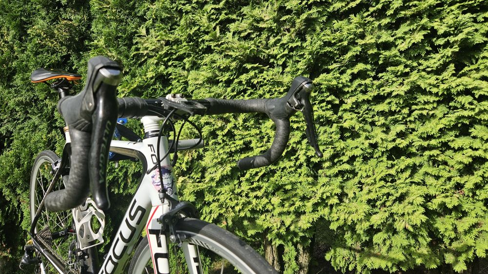 Karbonowy Rower Szosowy Focus Izalco  54