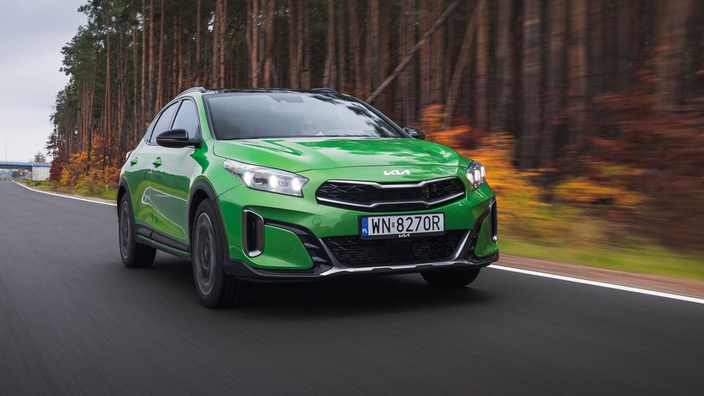 Zdjęcie w galerii numer 3