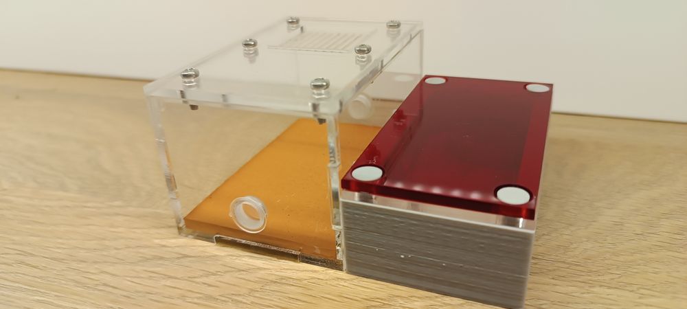 Formikarium dla mrówek