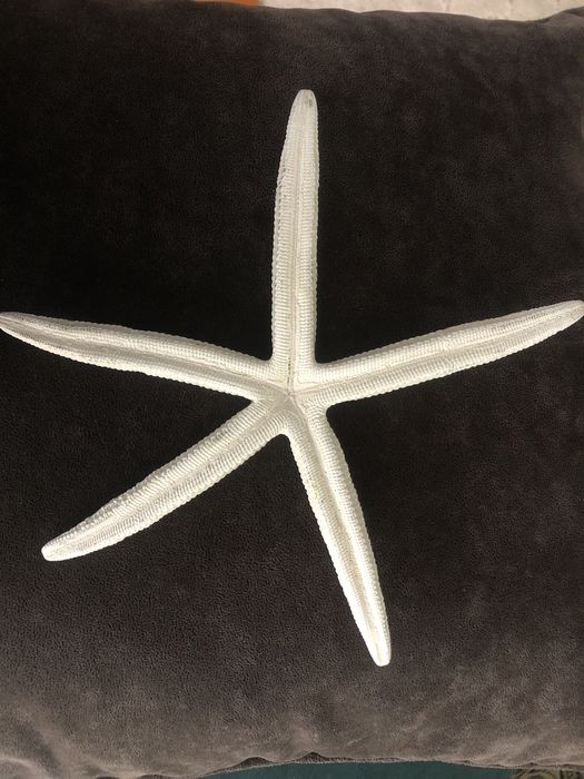 Морська зірка білий палець