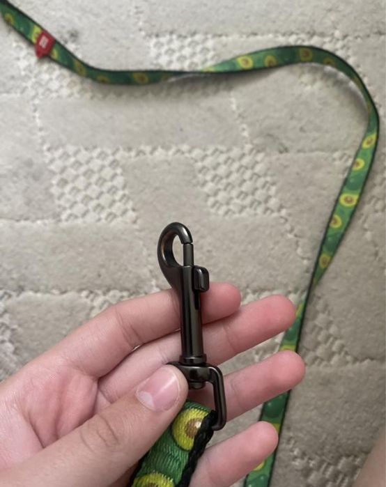 Набір Wau Dog:рулетка+повідець з принтом авакадо