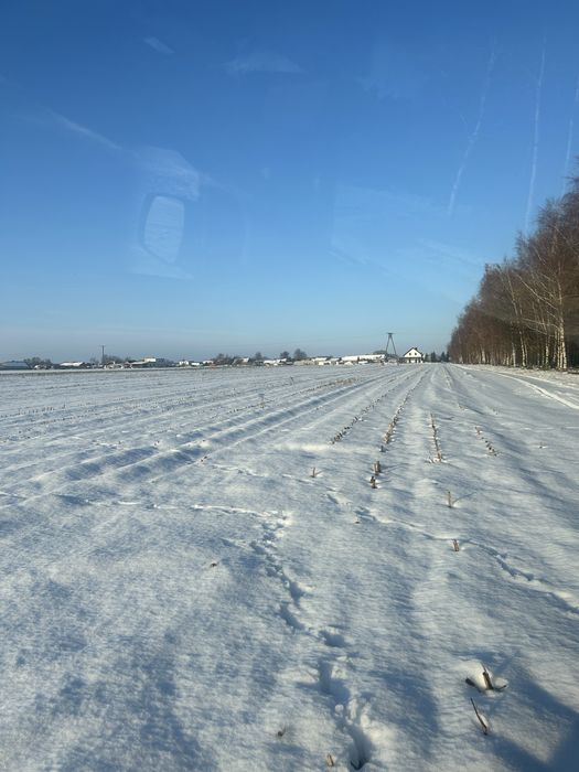 Dzialka budowlana 3000m2