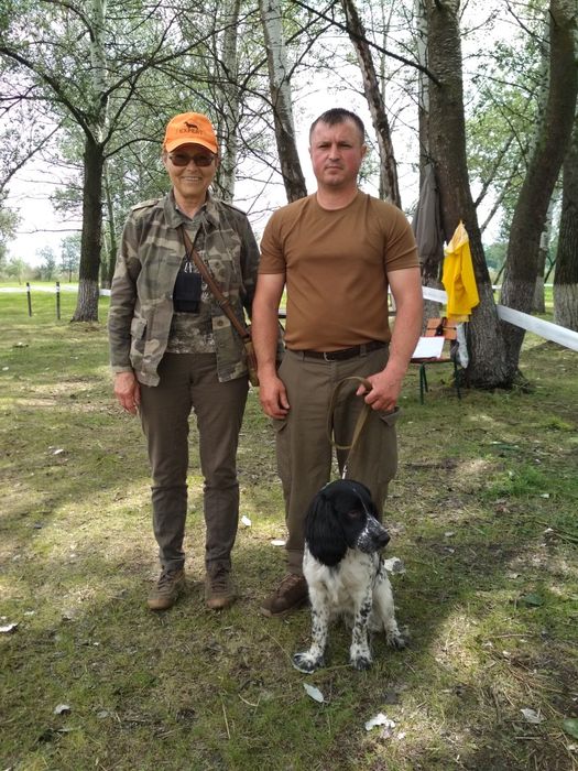 Кобель для вязки