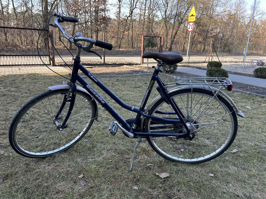 Rowet meski holenderka