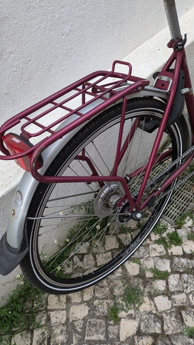 Bicicleta holandesa Sparta Apolo