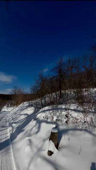 Ділянка серед лісу на пагорбі • 25 соток • 30 км Київ • 5 км Обухів