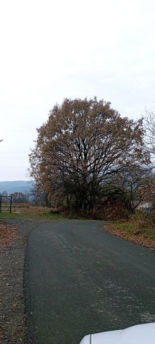 Новий Таунхаус у Сваляві Закарпатської області