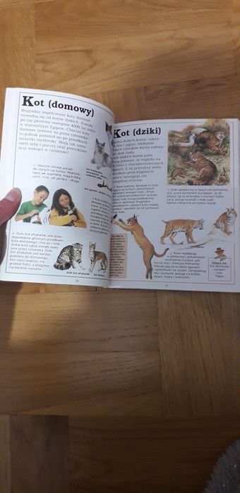 Mała encyklopedia zwierząt