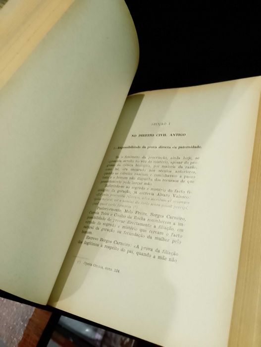 Investigação Paternidade ilegítima Direito Jurisprudência Portuguesa