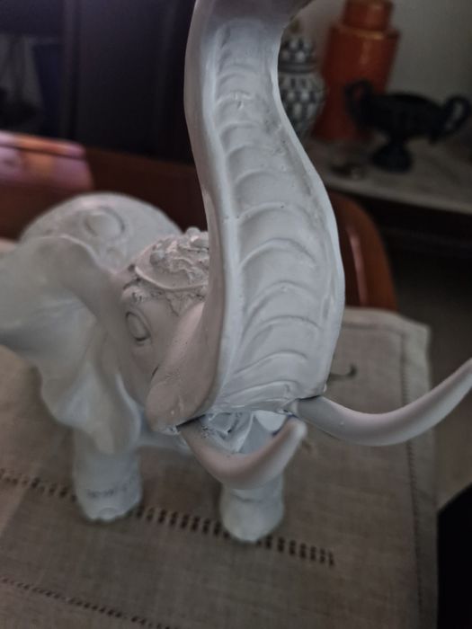 Elefante em bom estado!