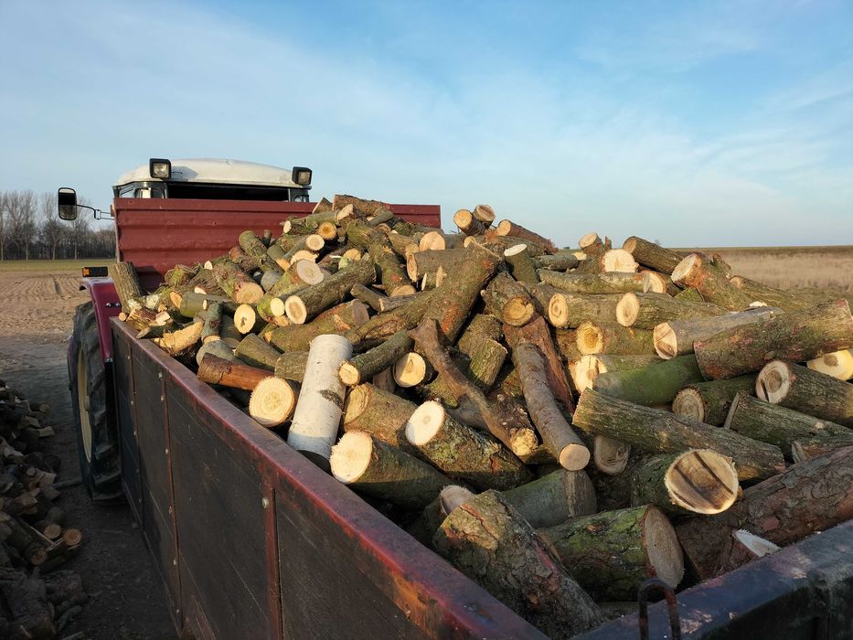 Sprzedam drewno opałowe