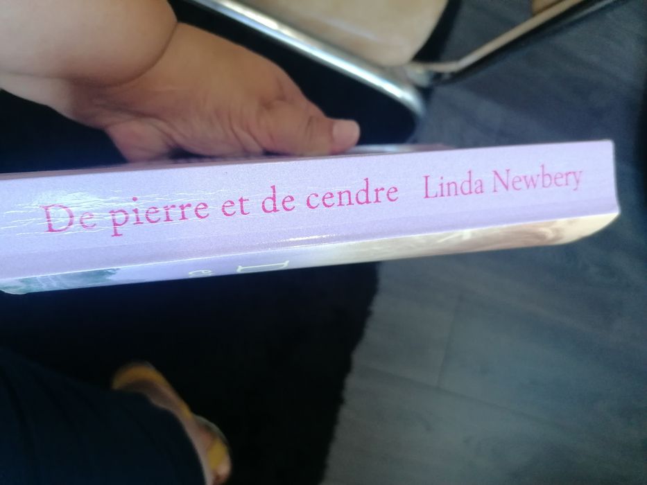 De pierre et de cendre. Portes de envio incluídos
