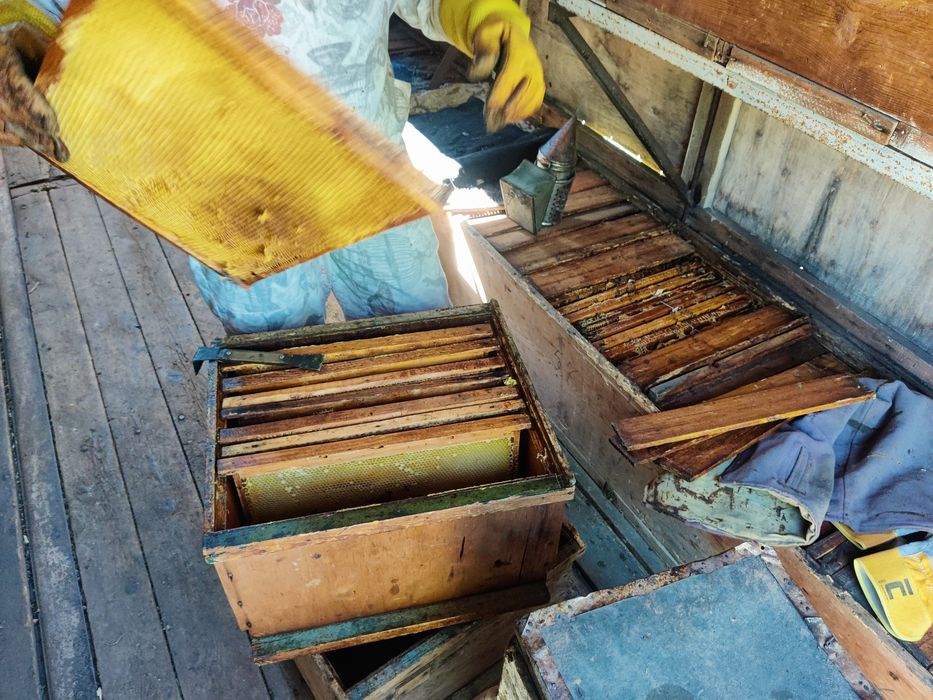 Торг Бджолопавільйон 60 пчелопавильон пасіка прицеп камаз вулик