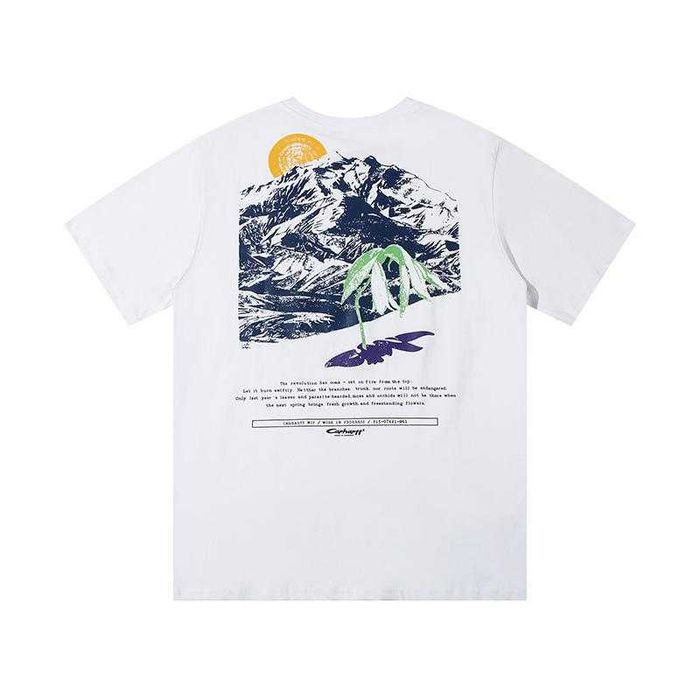 Футболка Carhartt WIP Carhartt Logo Mountain Graphic / XS-2XL