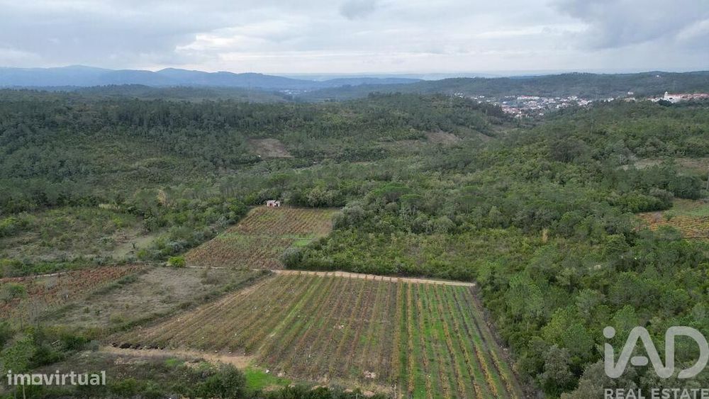 Terreno Agrícola em Condeixa-a-Velha e Condeixa-a-Nova
