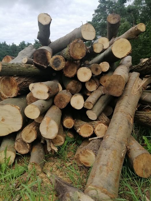 SUCHE drewno opałowe RÓŻNE!