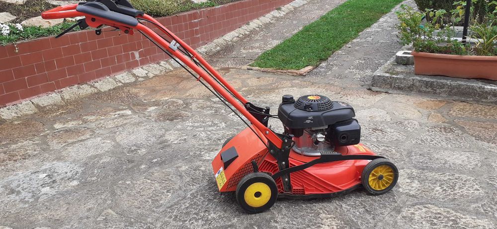 Corta relva Wolf Jardim