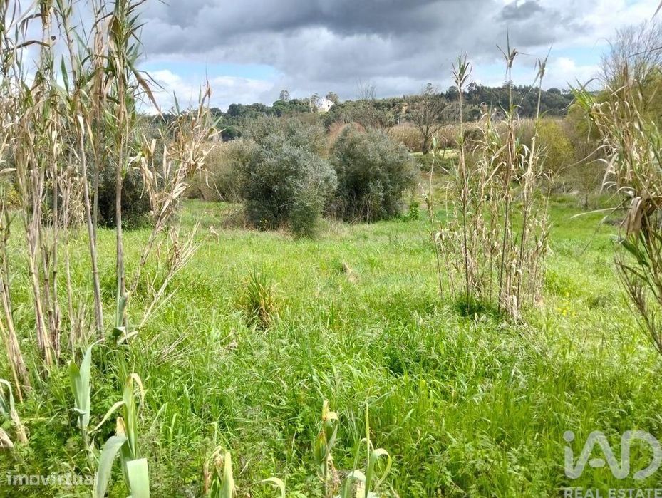 Terreno em Outeiro da Cortiçada e Arruda dos Pisões de 1540,00 m2