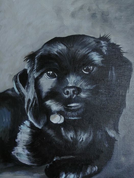 Portrety zwierząt/Na prezent dla kociarza/psiarza