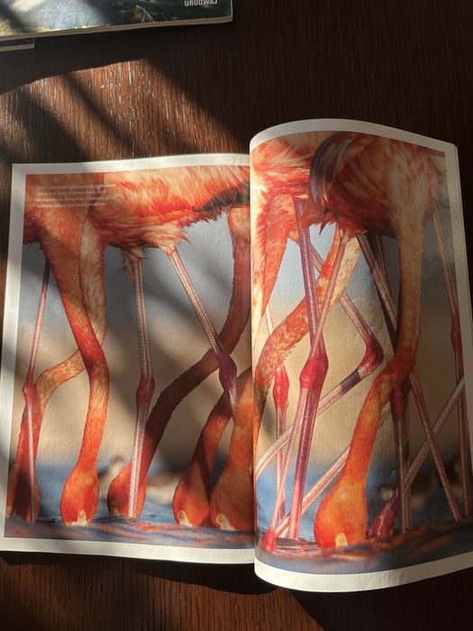 Traveler 12 egz 2018