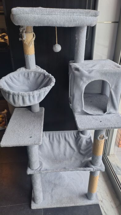 Arranhador/árvore gato