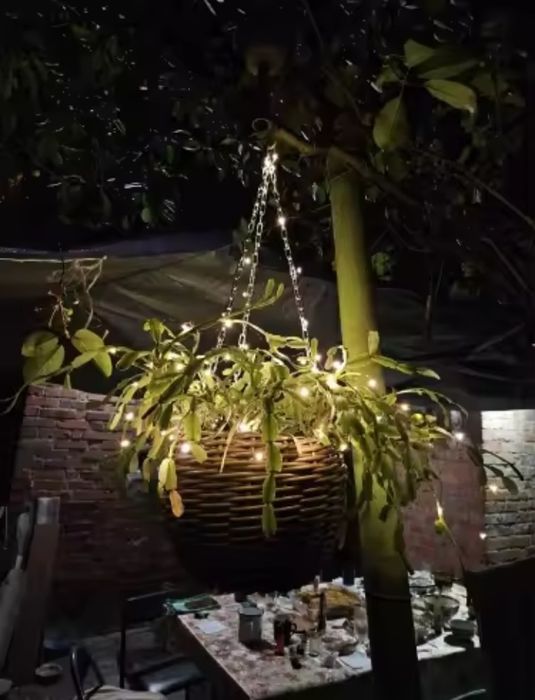 Solarne Lampki na drzewko LED 10 m 100 lampek