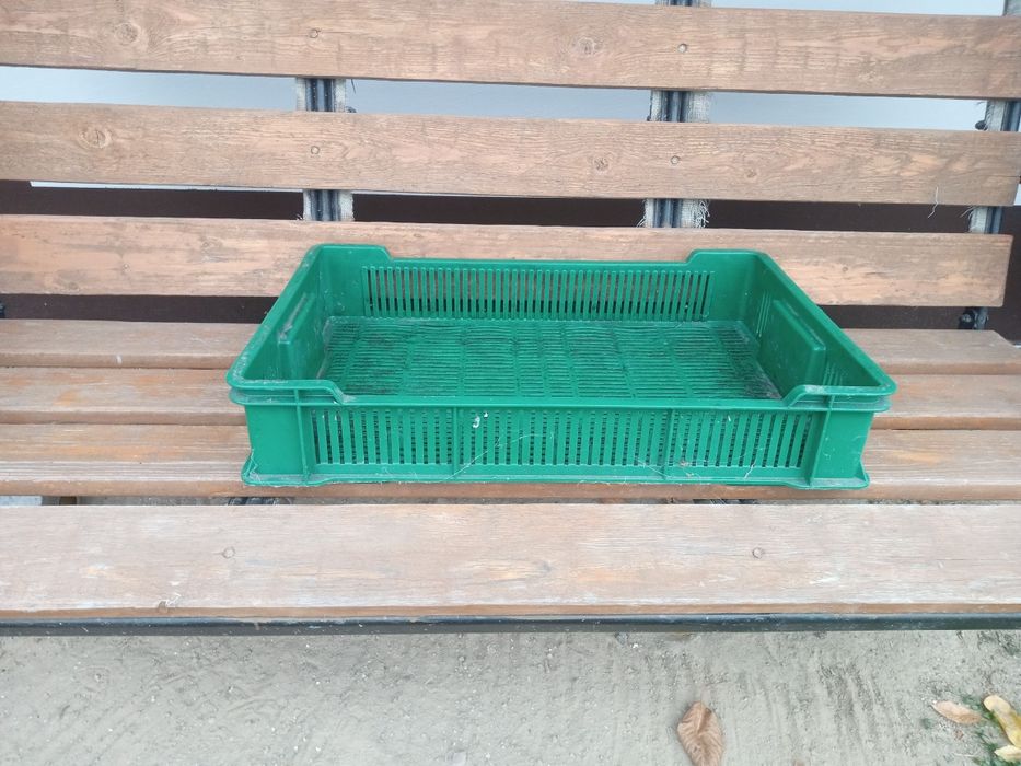 Skrzynka plastik na truskawkę