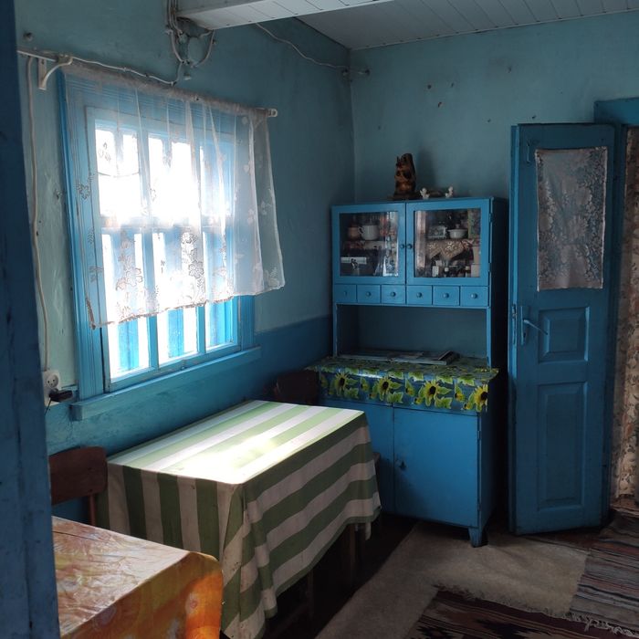 Продам будинок з приватиз. земельною ділянкою ( 25 соток землі)