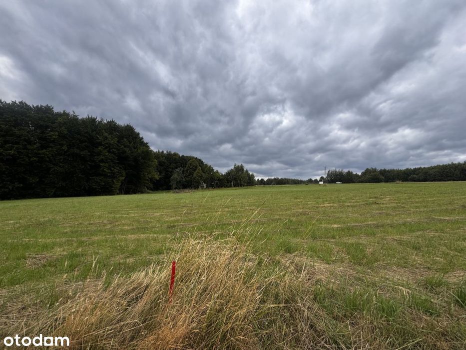 Działka 24,71 ar/ WZ / Połomia - Widok 3