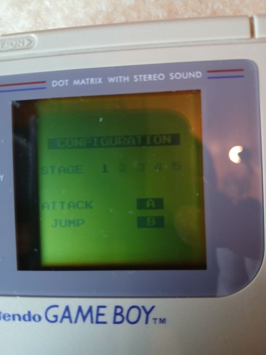 Teenage Mutant Ninja Turtles Fall Of The Foot Clan gameboy