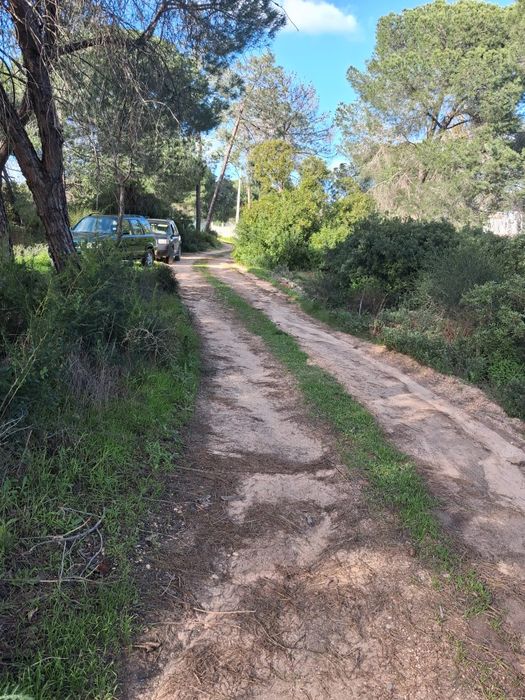 Terreno Rústico em Santa Bárbara De Nexe, com vista mar. .