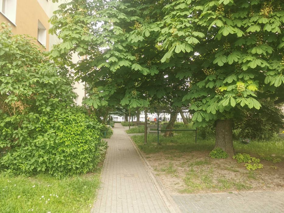 Bezpośrednio 2 pokoje 43m2 parter po remoncie ul. Broniewskiego
