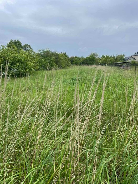 Продається земельна ділянка у с. Зимна вода (Львівська область)