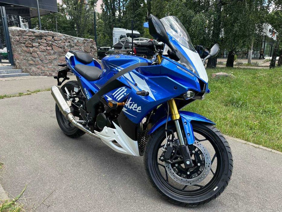 Мотоцикл Rider Iron 250cc Blue