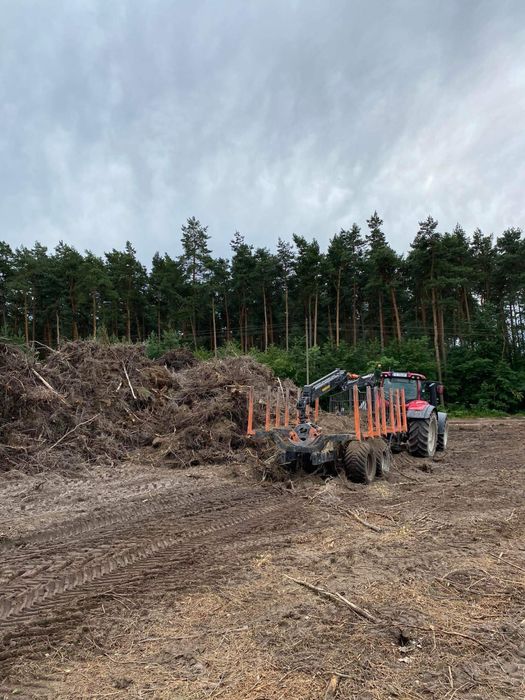 Wycinka samosiejek, sadów, zarośli skupujemy drewno na pniu!