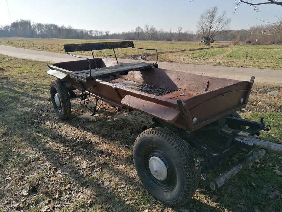 Sprzedam Klacz zimnokrwistą