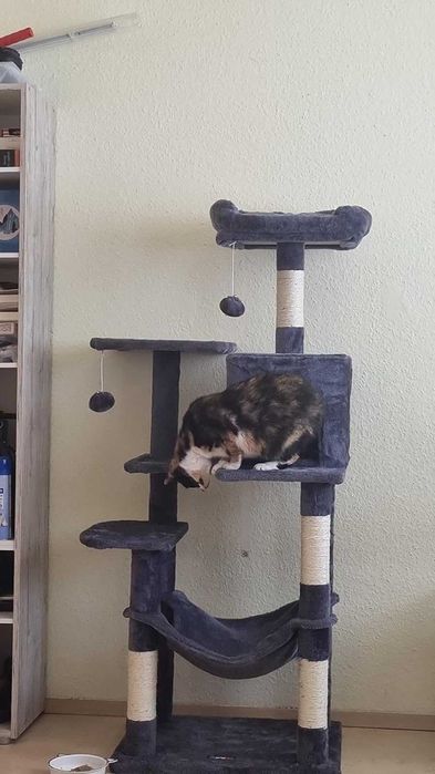 Drapak dla kota duży wysoki drapak NOWY dla kota domek legowisko NOWY