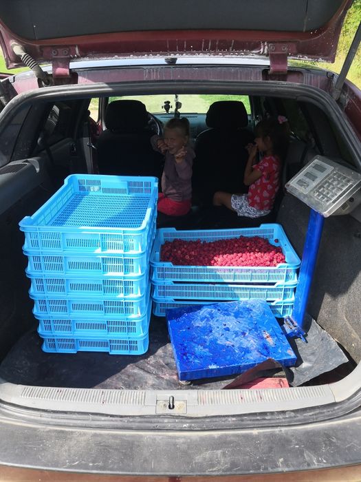 Шкода октавія 1.9тді