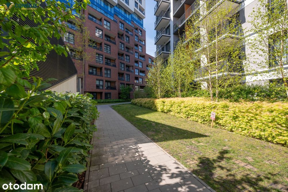 Studio | 29m2 | 4 piętro | Premium | Novum 3 |